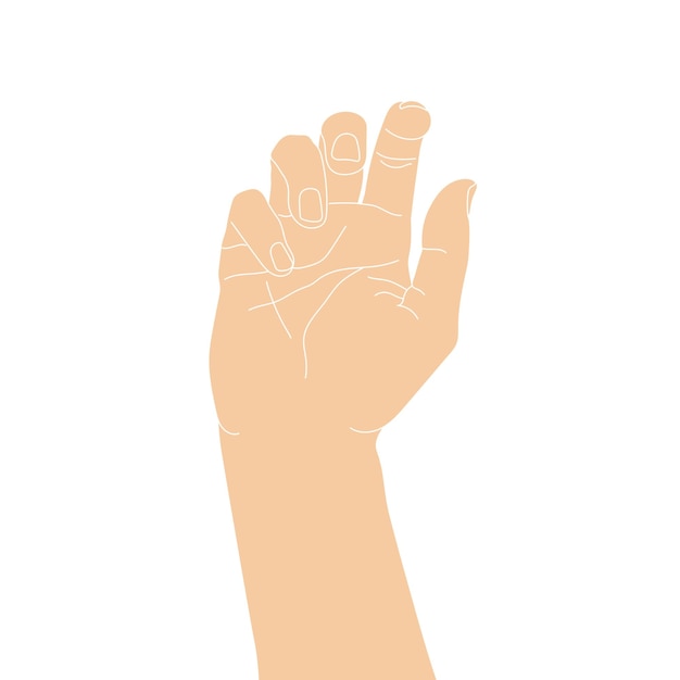 dibujo a mano mano aislada sobre fondo blanco boceto de palma humana dibujado a mano ilustración vectorial