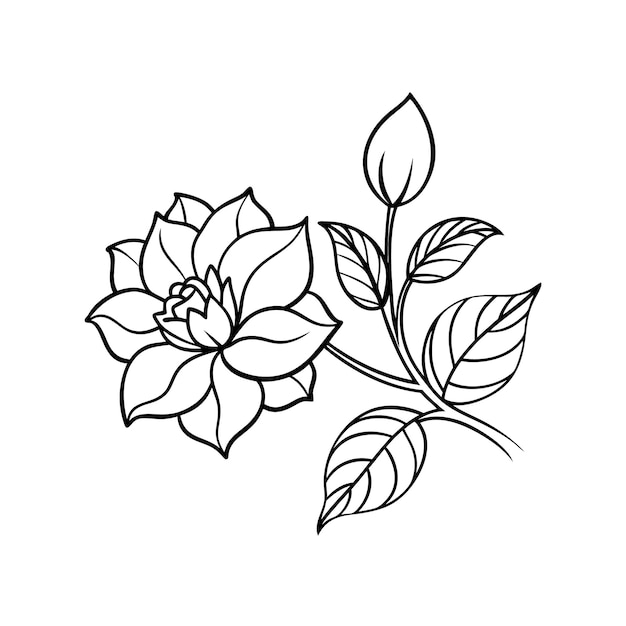 Dibujo a mano plano de flores aisladas Diseño artístico de líneas