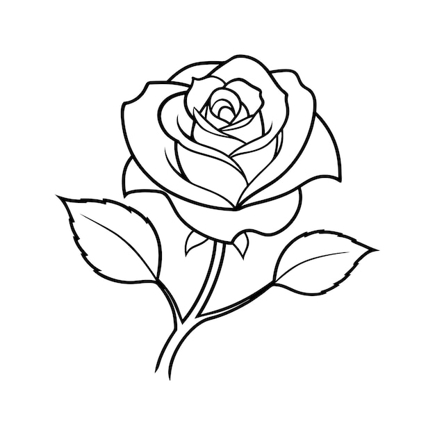 Dibujo a mano plano de flores aisladas Diseño artístico de líneas