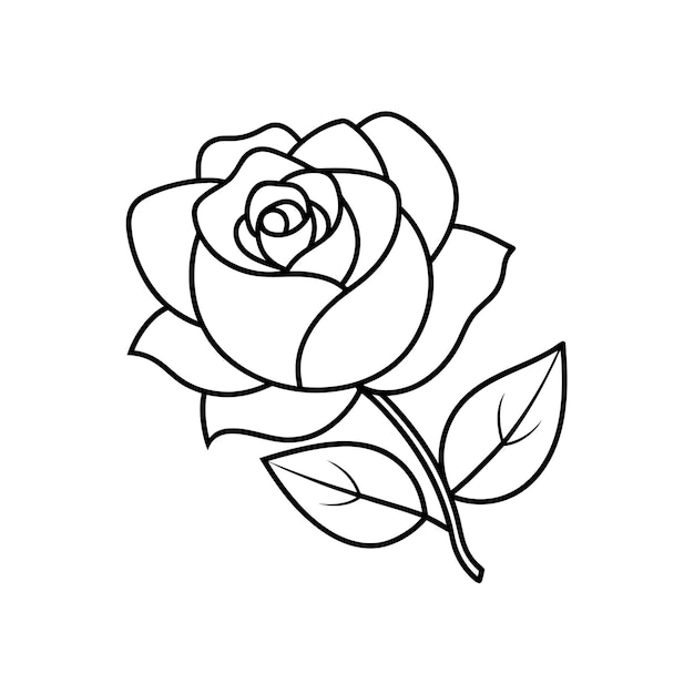 Dibujo a mano plano de flores aisladas Diseño artístico de líneas