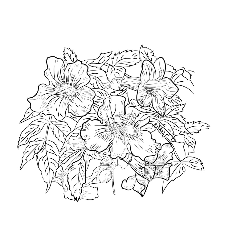 Vector dibujo a mano de la planta de la flor de soya en blanco y negro