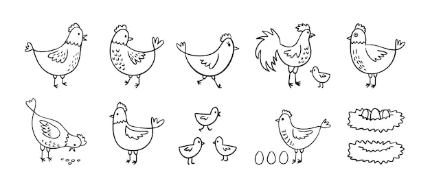 El dibujo a mano de pollos de gallina lindo conjunto de gallinas de granja de garabateo estilo boceto contorno gracioso aves domésticas