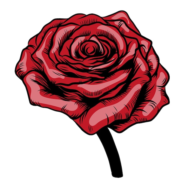 dibujo a mano rosa roja línea negra rosa dibujo de flor aislado sobre fondo blanco boceto vintage
