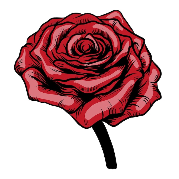 Vector dibujo a mano rosa roja línea negra rosa dibujo de flor aislado sobre fondo blanco boceto vintage