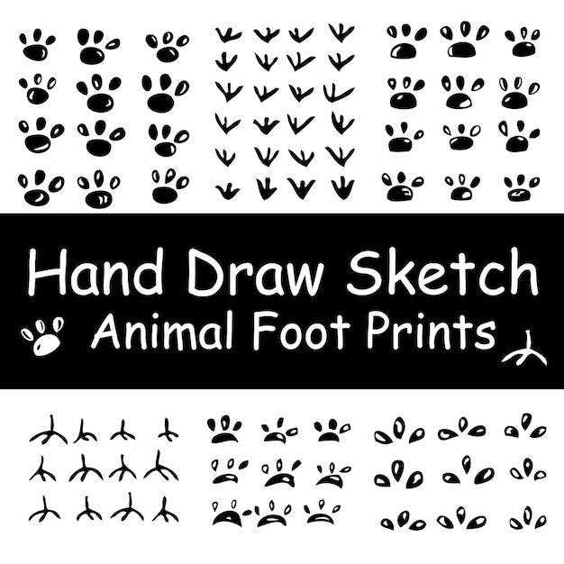 Dibujo a mano de varias huellas de animales, gato, perro, pájaro, gallo, cerdo, ratón, etc.