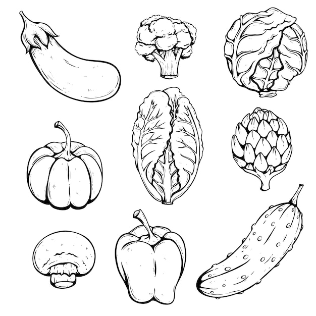 Dibujo a mano verduras con col, brócoli, berenjena