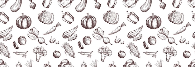 Dibujo a mano verduras identidad corporativa de fondo transparente. diseño de pancartas horizontales. Conjunto de plantillas.