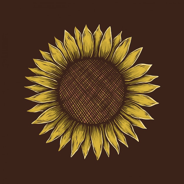 Vector dibujo a mano vintage girasol ilustración vectorial