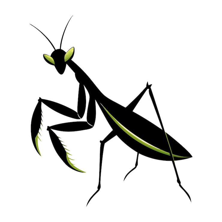 Vector un dibujo de una mantis orante con una cola verde