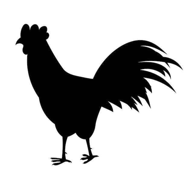 Vector dibujo manual de símbolo de gallo o gallo en negro silueta negra