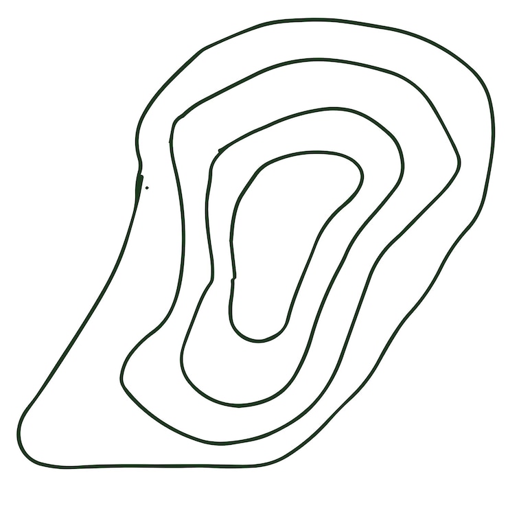 Vector un dibujo de un mapa de un parque con un camino