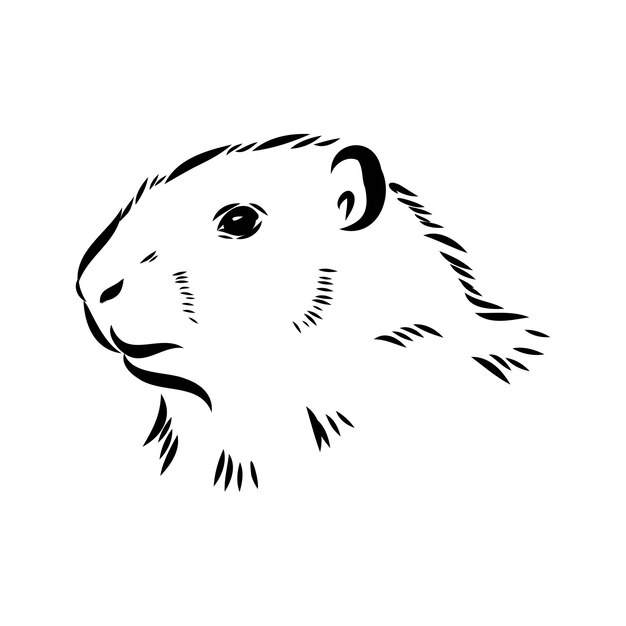 Dibujo de marmota gráficos vectoriales cabeza de figura monocromática en blanco y negro