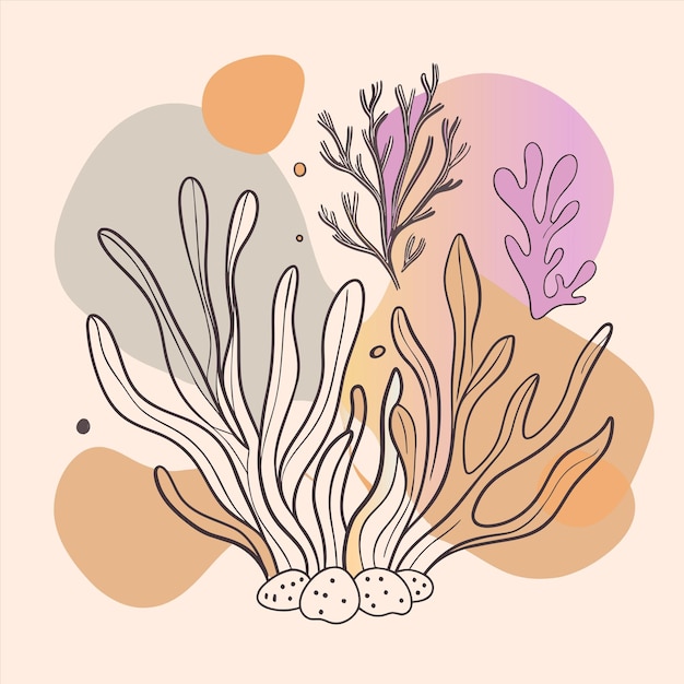 un dibujo de una medusa con la palabra coral en él
