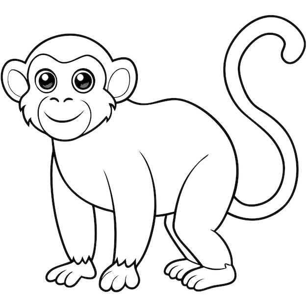 Dibujo de mono para colorear