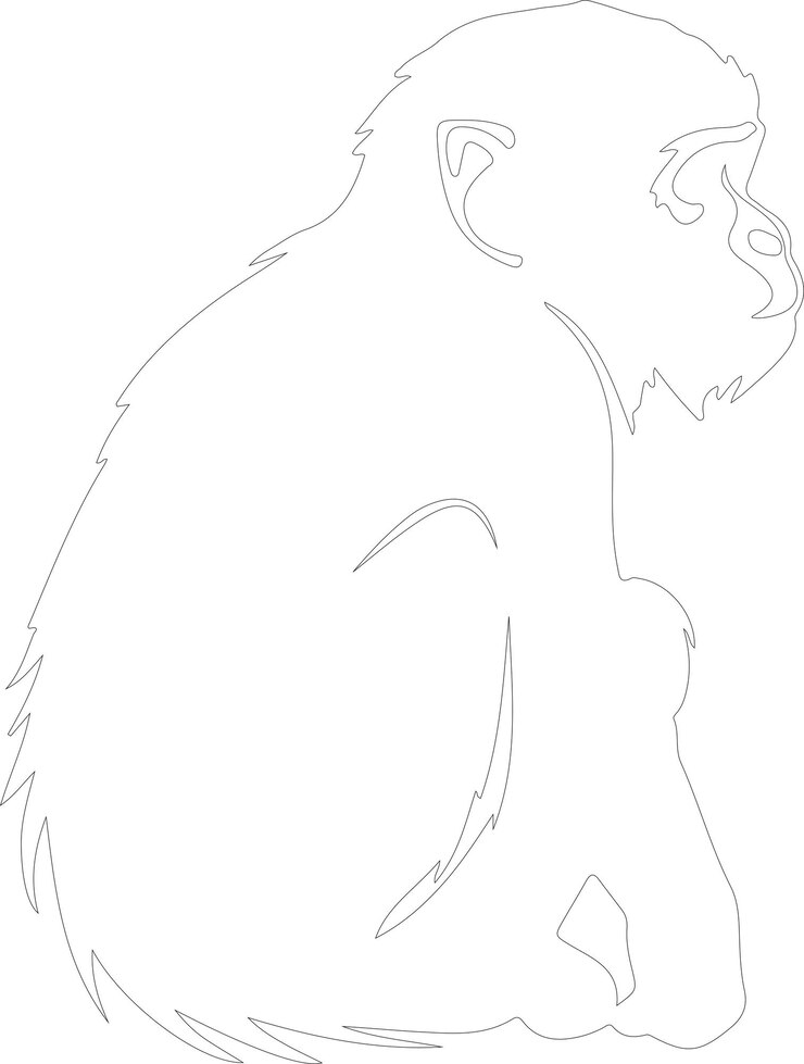 Vector un dibujo de un mono con la palabra mono en él