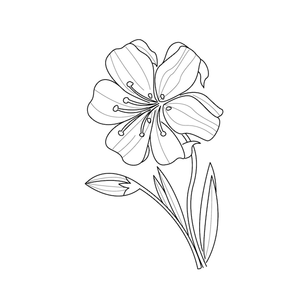 Dibujo monocromo de flor de caléndula para colorear libro