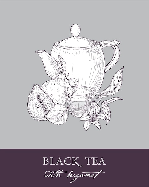 Dibujo monocromo de tetera, taza, hojas de té, flores y fruta fresca de bergamota en gris