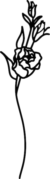un dibujo de una mujer sosteniendo una flor