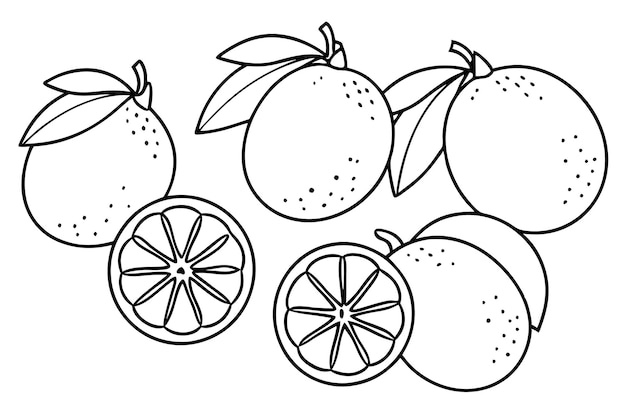 un dibujo de naranjas y uno con una línea de naranchas
