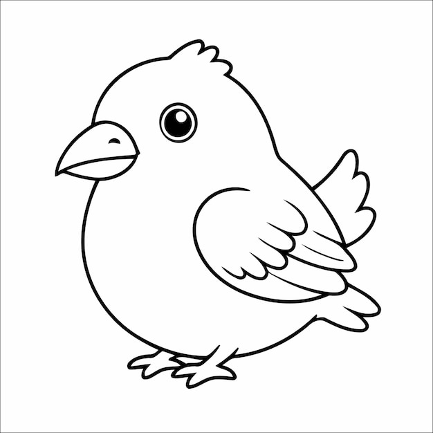 Dibujo de página para colorear de pájaros para niños Ilustración