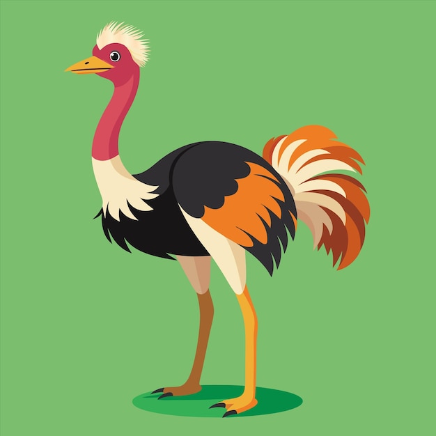 un dibujo de un pájaro con una cola que dice "un pájaro"