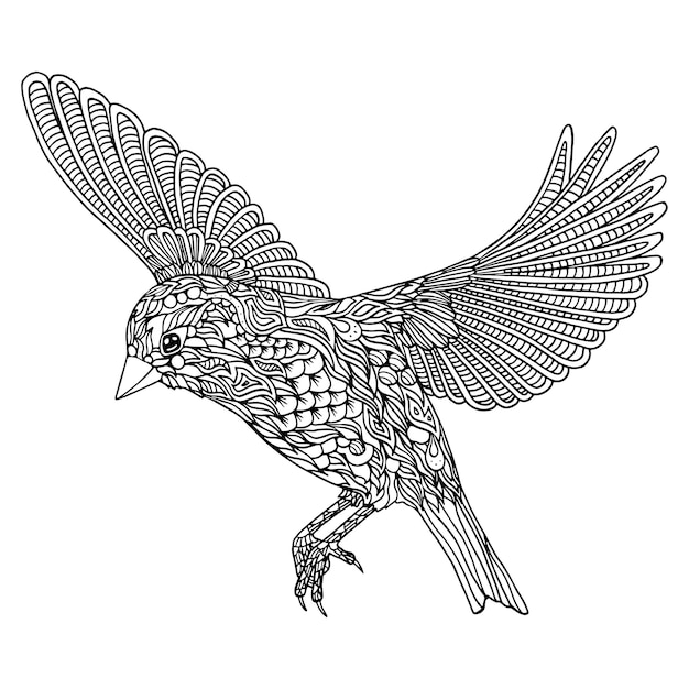 Dibujo de pájaro para colorear Verderón