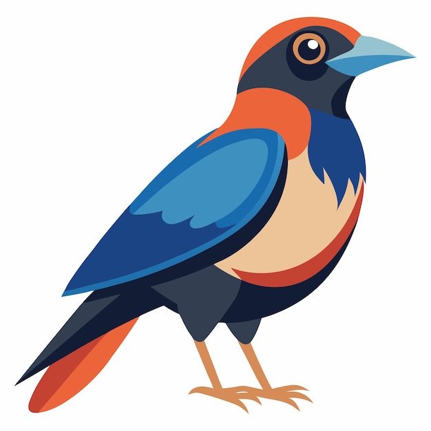 un dibujo de un pájaro colorido con un pico rojo y plumas azules