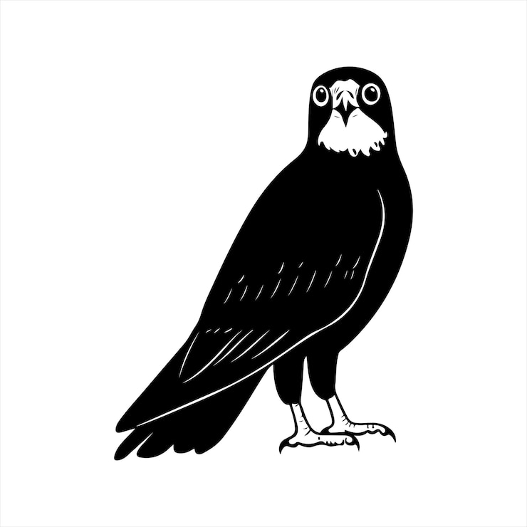 Vector un dibujo de un pájaro con un contorno negro y un fondo blanco