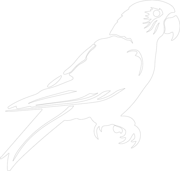 un dibujo de un pájaro con un dibujos de pájaros en él