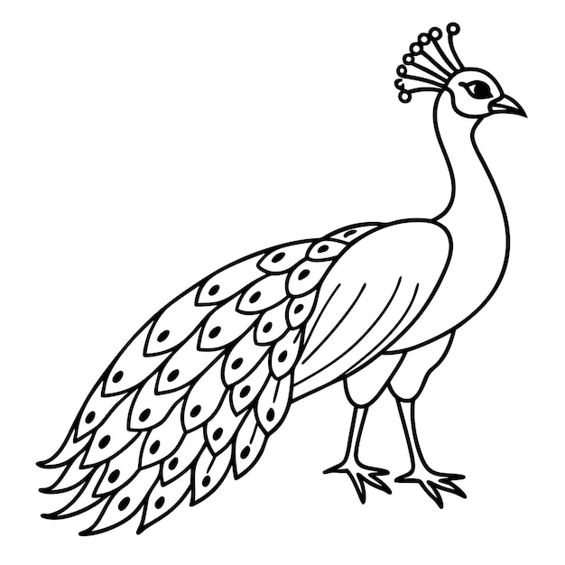 un dibujo de un pájaro con un fondo blanco que dice pájaro