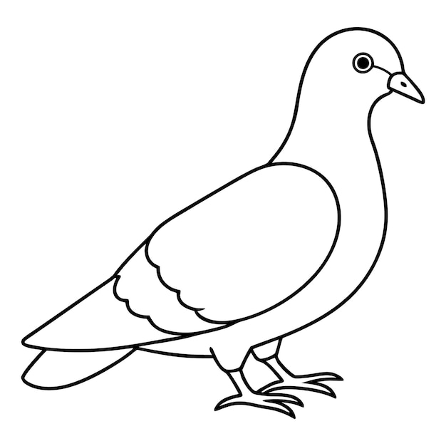 Un dibujo de un pájaro con un fondo blanco que dice paloma