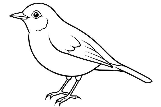un dibujo de un pájaro con un fondo blanco