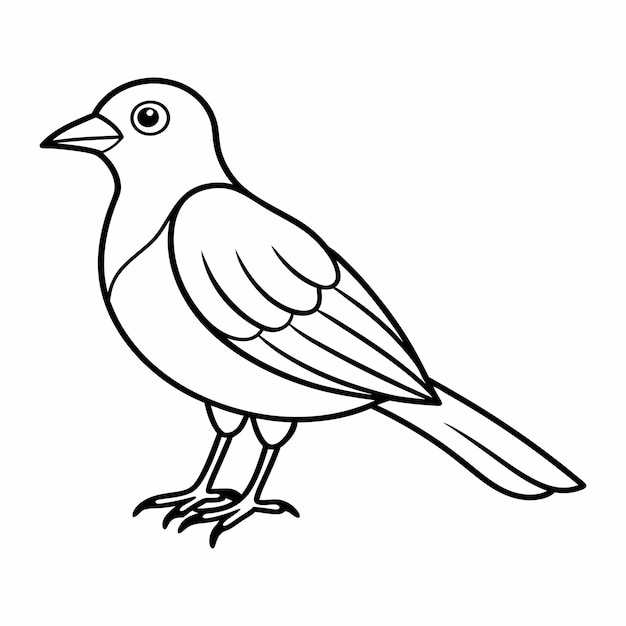 un dibujo de un pájaro con un fondo blanco