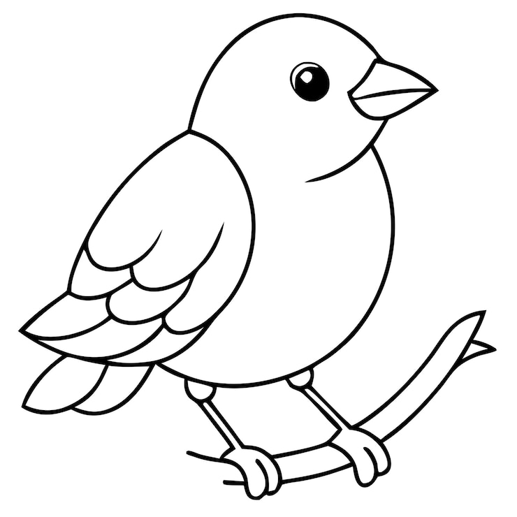 Vector un dibujo de un pájaro con un fondo blanco