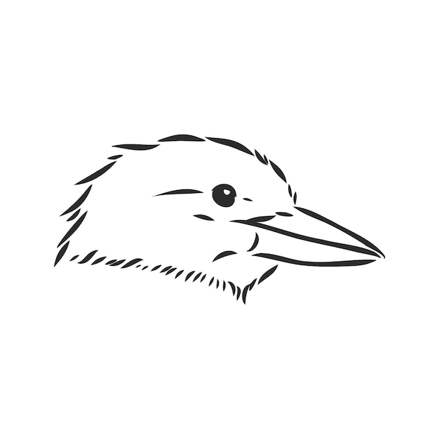 Dibujo de pájaro kookaburra negro contorneado ilustración de dibujo vectorial kookaburra