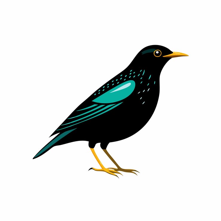 Vector un dibujo de un pájaro negro y azul con un ala azul