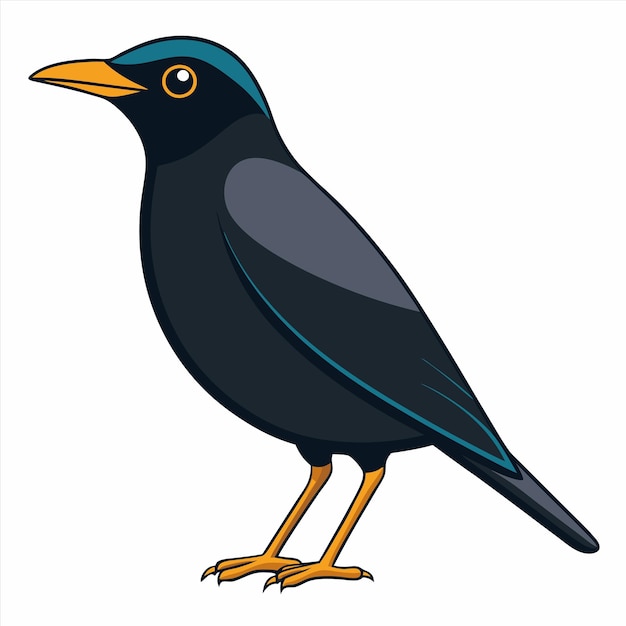 un dibujo de un pájaro negro con una franja azul en él