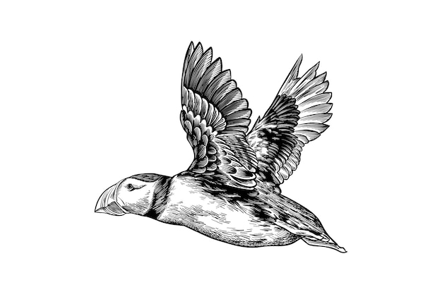 Un dibujo de un pájaro con un pájaro en él.