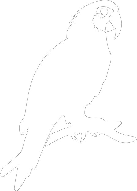 un dibujo de un pájaro con la palabra e en él