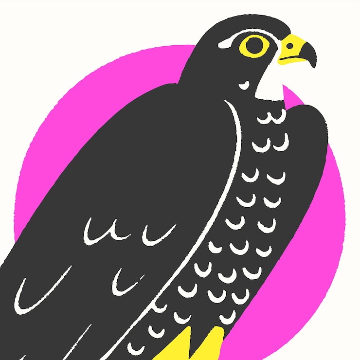 Vector un dibujo de un pájaro con un pico amarillo y un círculo rosa en el fondo