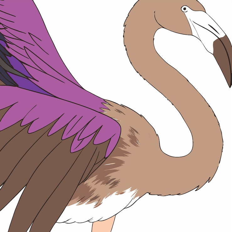 Vector un dibujo de un pájaro con un pico y un pico púrpura
