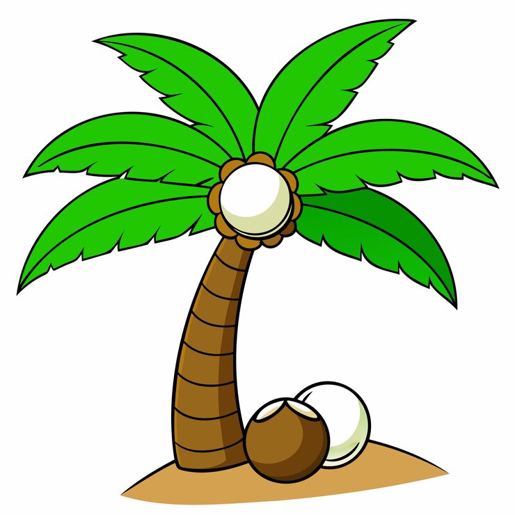 Vector un dibujo de una palmera y un coco con un coco y un caco en él