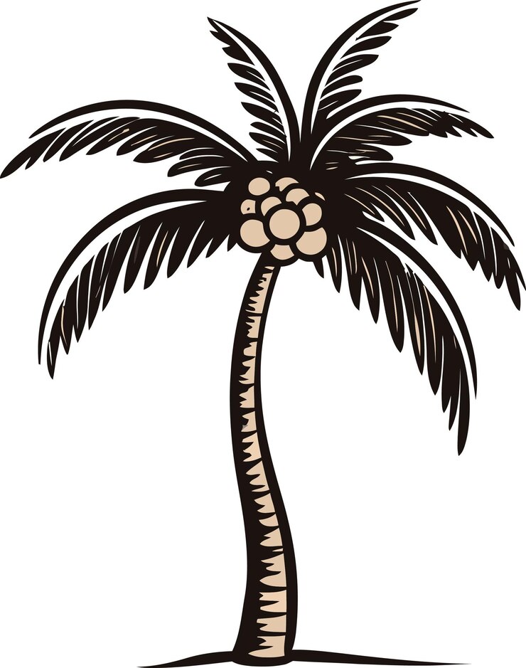 Vector un dibujo de una palmera con la palabra palma en ella