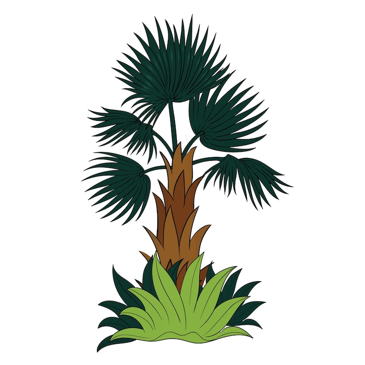 Vector un dibujo de una palmera con la palabra palma en ella