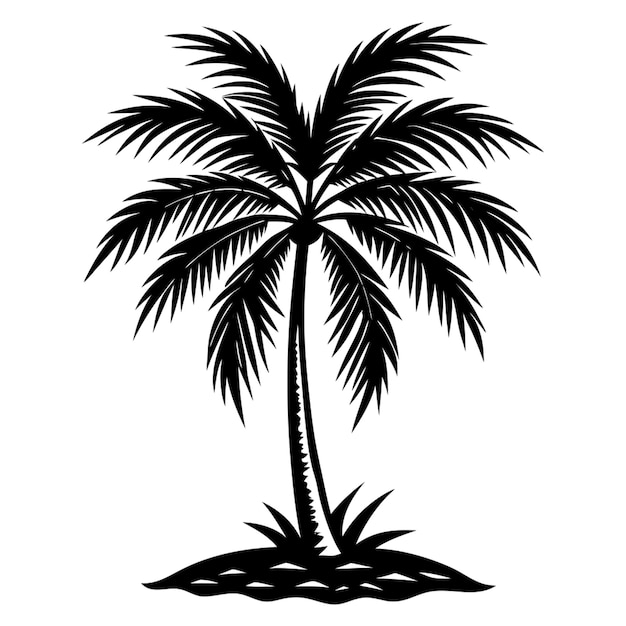 un dibujo de una palmera con la palabra palma en ella