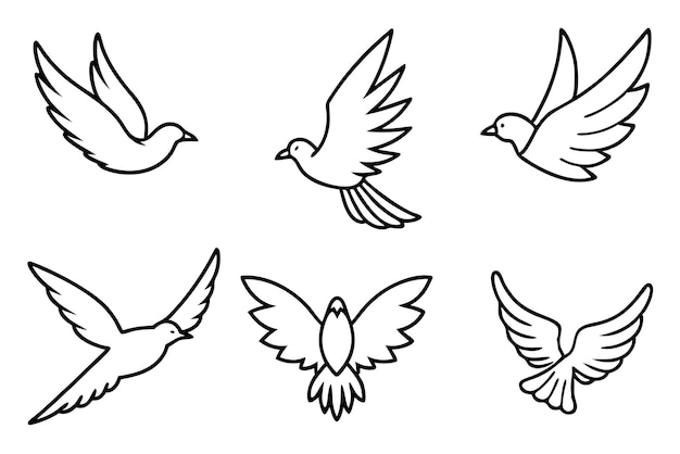 un dibujo de una paloma y un fondo blanco con una línea de palomas voladoras