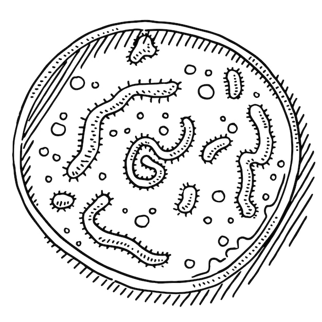 Vector un dibujo de un pan con un dibujo en línea de una serpiente