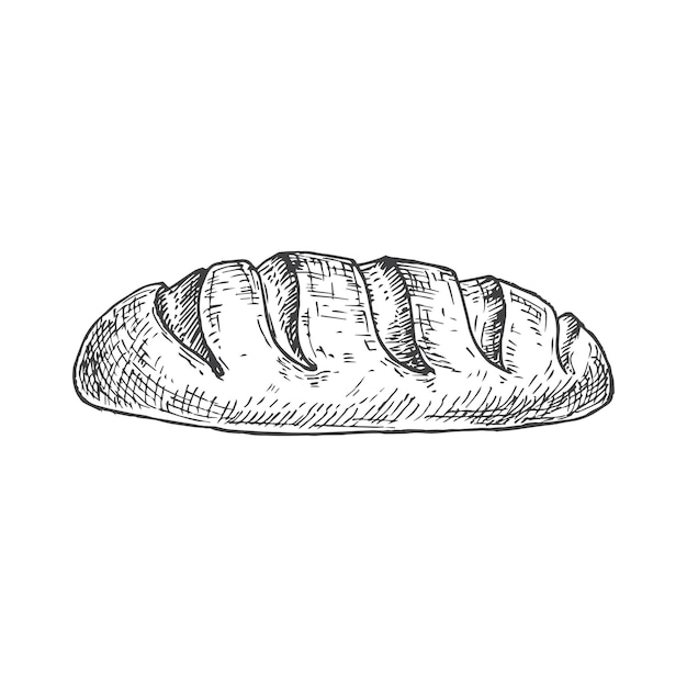 Dibujo de panadería de vector. ilustración dibujada a mano de una hogaza de pan de trigo blanco. aislado