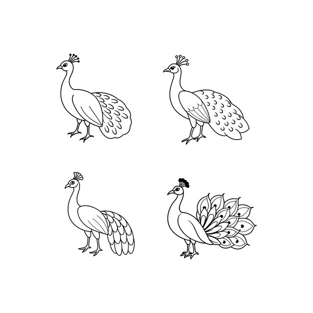 un dibujo de un pavo con una cola emplumada
