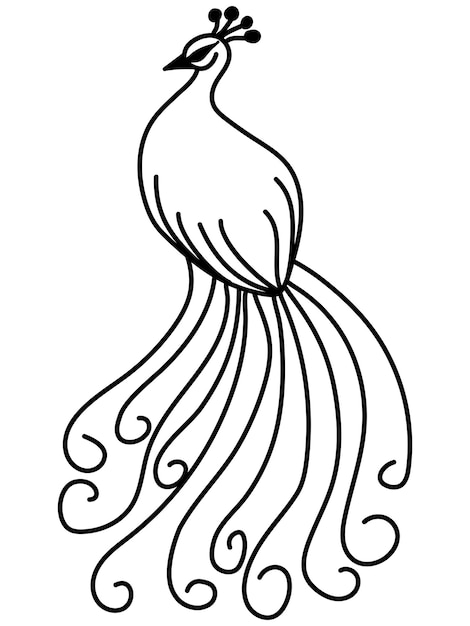 dibujo de pavo real